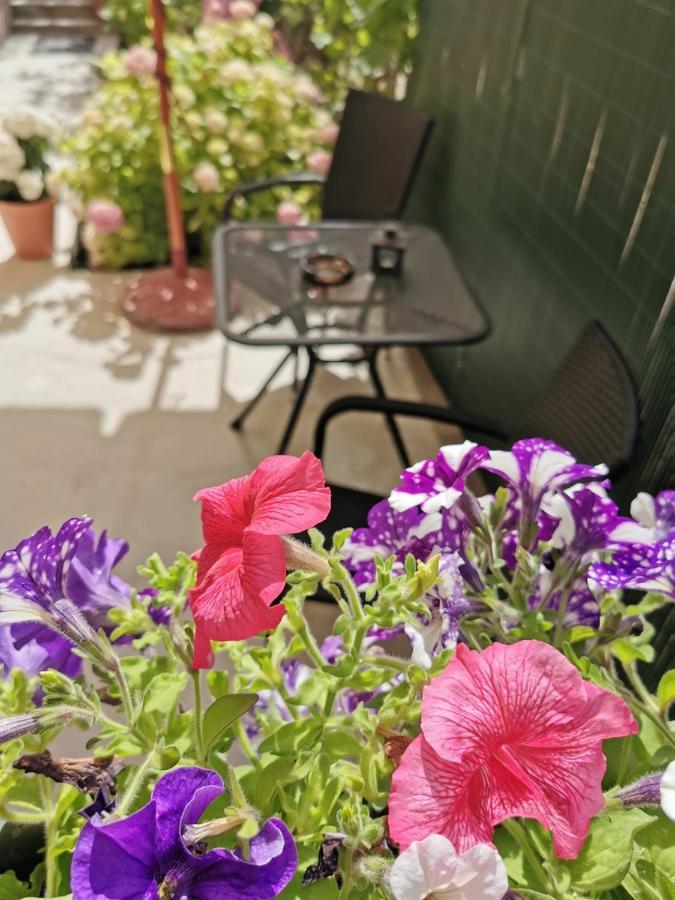 Apartment Martina Banjol Dış mekan fotoğraf