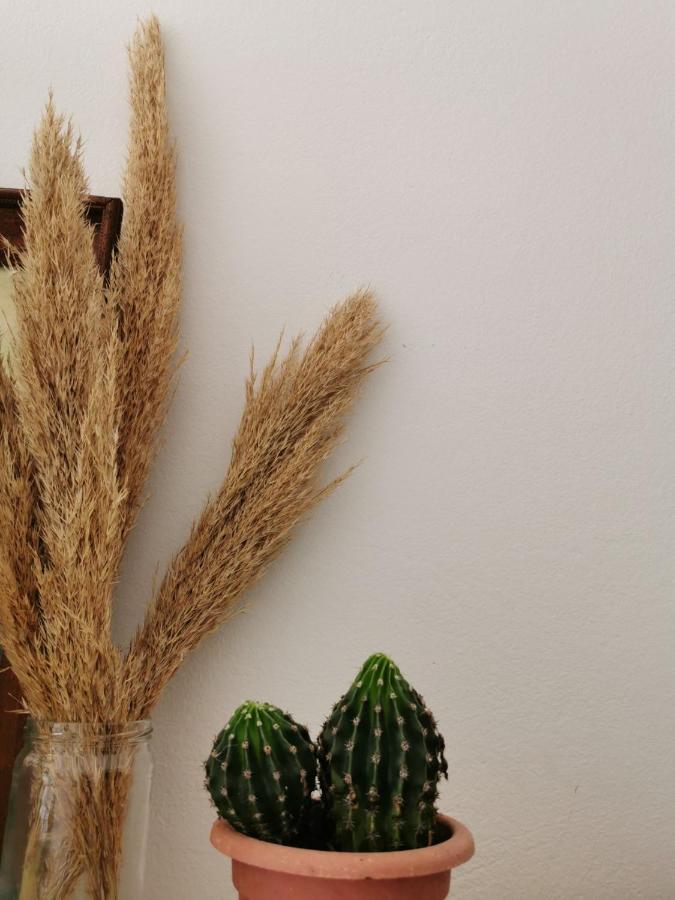 Apartment Martina Banjol Dış mekan fotoğraf