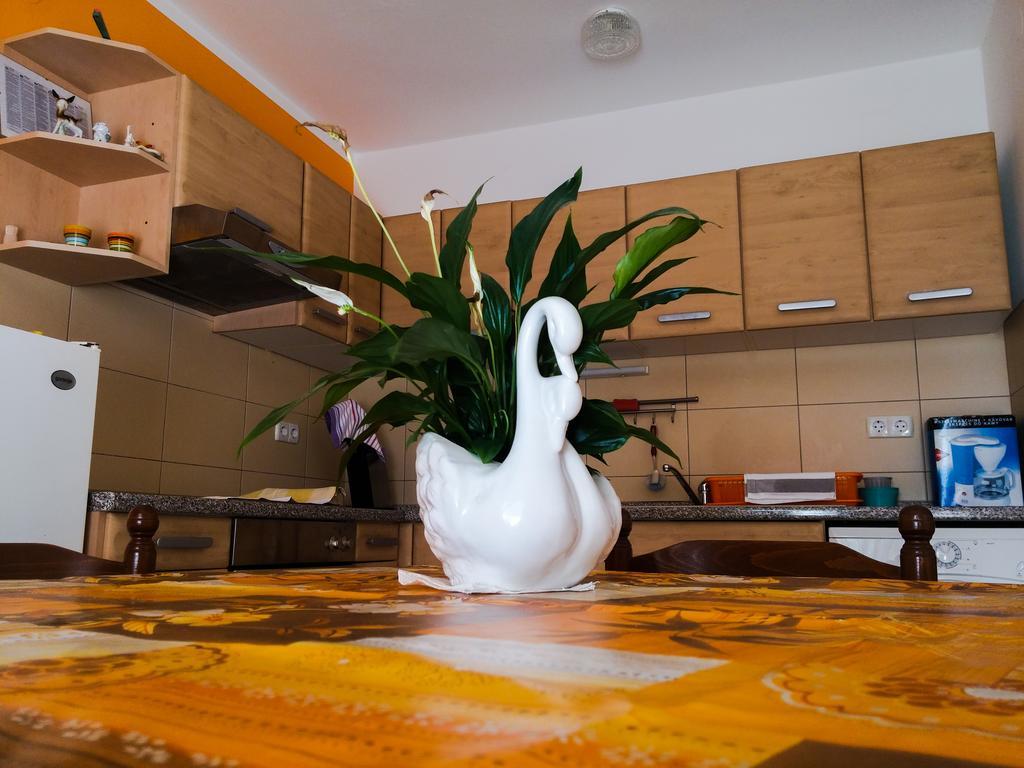 Apartment Martina Banjol Dış mekan fotoğraf