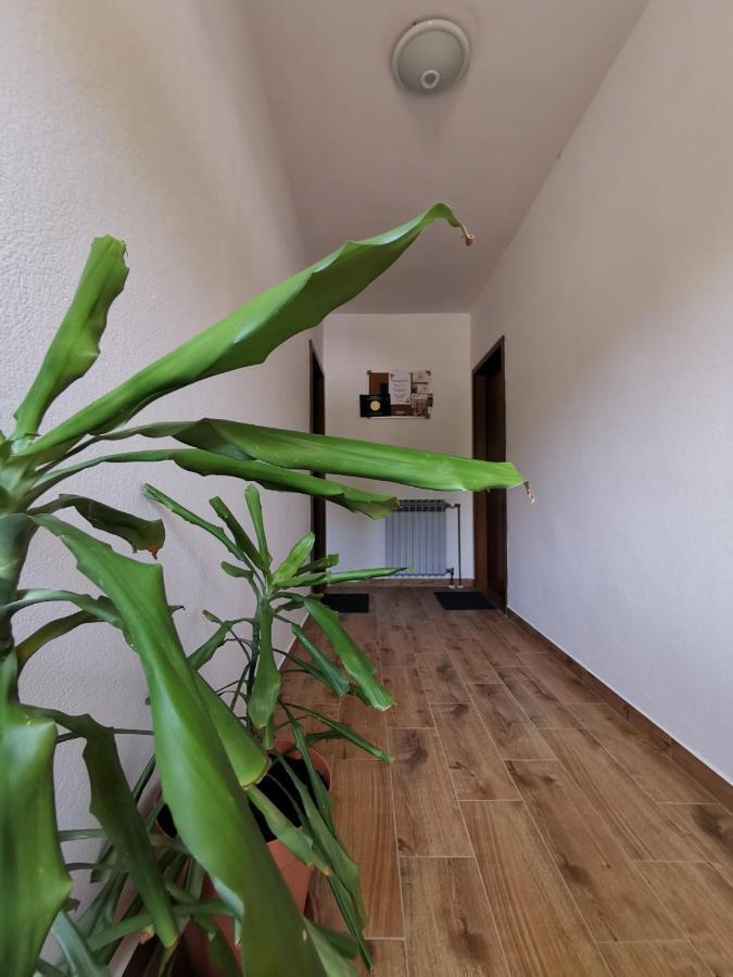 Apartment Martina Banjol Dış mekan fotoğraf